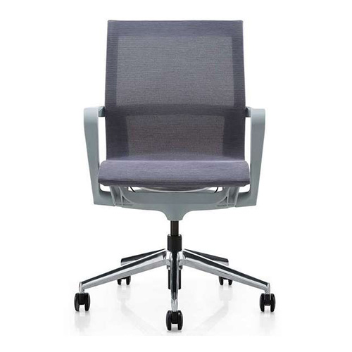 Evolution Respaldo Bajo