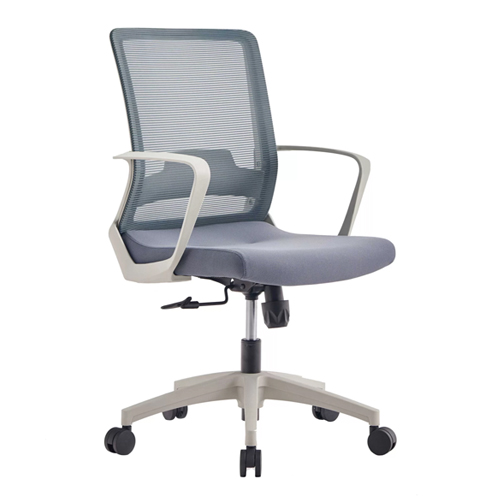 Moldavia Ejecutivo Gris